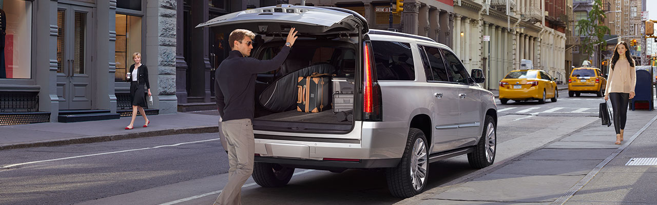 2018 Cadillac ESCALADE & ESV exterior 